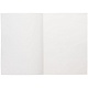 Ежедневник Flat Light, недатированный
