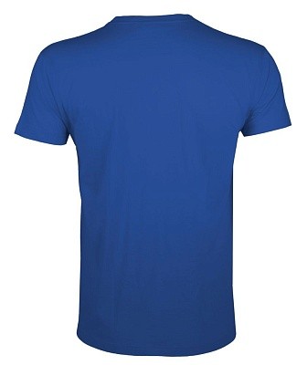 Футболка мужская Regent Fit 150