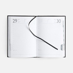 Ежедневник Baza, датированный