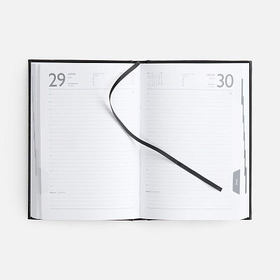 Ежедневник Baza, датированный