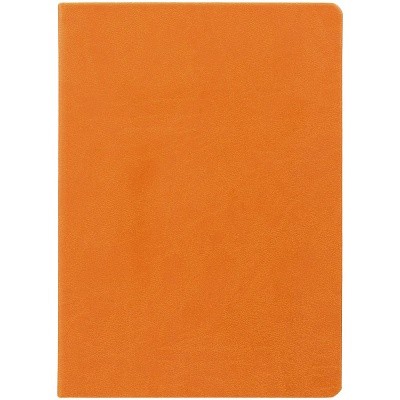 Ежедневник Basis, датированный