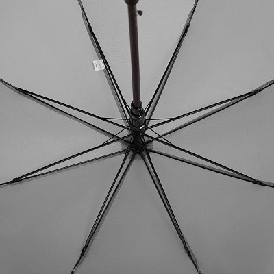 Зонт-трость Standard
