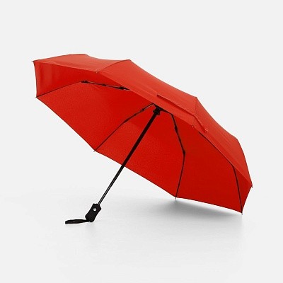 Зонт складной Monsoon