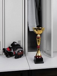 Кубок Awardee, средний