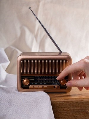 Bluetooth-колонка с радио Beatnik