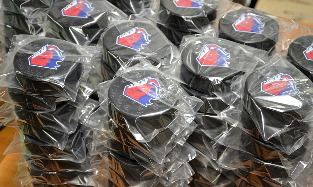 Шайбы сувенирные с печатью