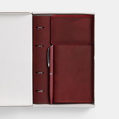 Набор inStream Maxi