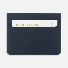 Чехол для карт Alaska