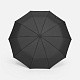 Зонт складной Regenfall