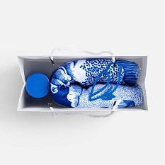 Набор «Год чудес»