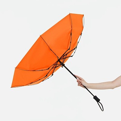 Зонт складной Monsoon