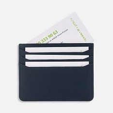 Чехол для карт Alaska