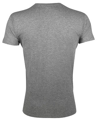 Футболка мужская Regent Fit 150
