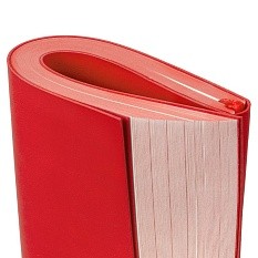Ежедневник Flat, недатированный