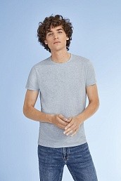 Футболка мужская Regent Fit 150