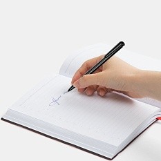 Ручка шариковая Penpal