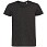 Футболка мужская Regent Fit 150