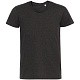Футболка мужская Regent Fit 150