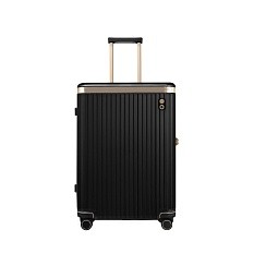 Чемодан Dynasty S