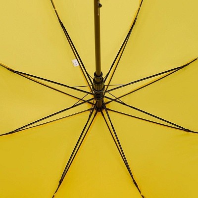 Зонт-трость Standard