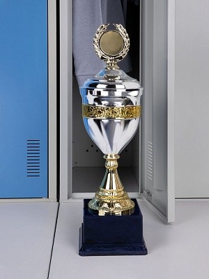 Кубок EnterPrize