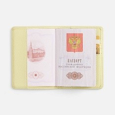 Обложка для паспорта Unison