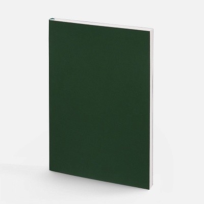 Ежедневник Flat Light ver.2, недатированный