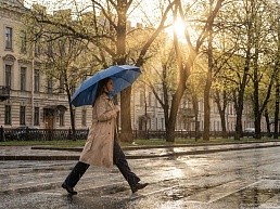 Зонт складной Regenfall