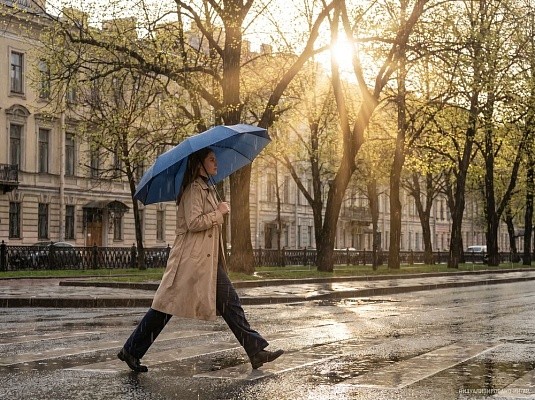 Зонт складной Regenfall