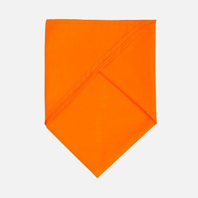 Шейный платок Bandana