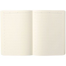 Ежедневник Eco Write
