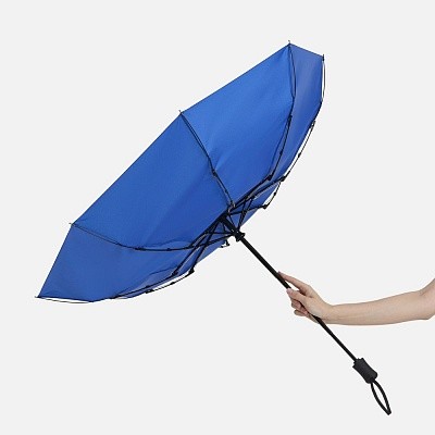 Зонт складной Monsoon
