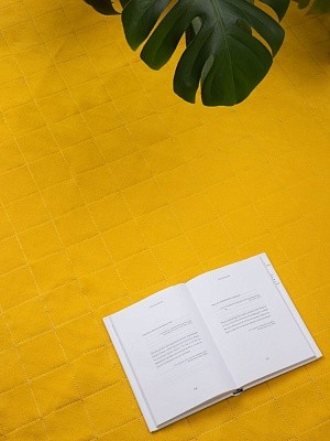 Плед для пикника Soft & Dry 2