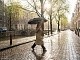 Зонт складной Regenfall