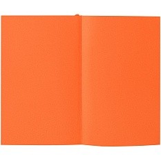 Ежедневник Flat Mini, недатированный