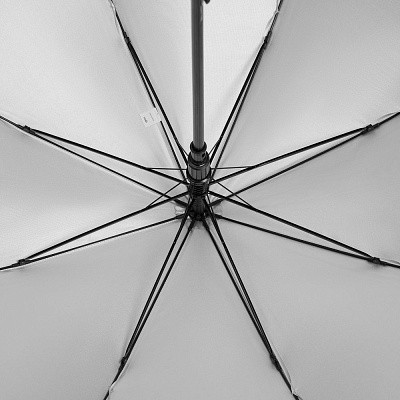 Зонт-трость Standard