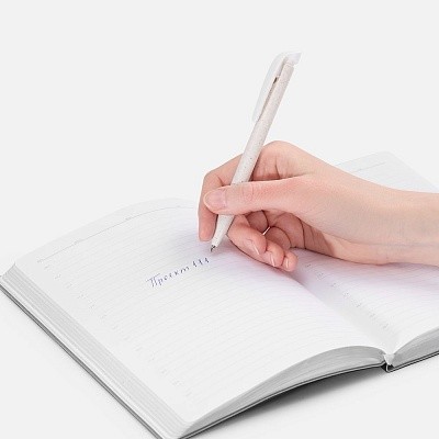 Ручка шариковая Favorite Eco