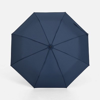 Зонт складной Monsoon