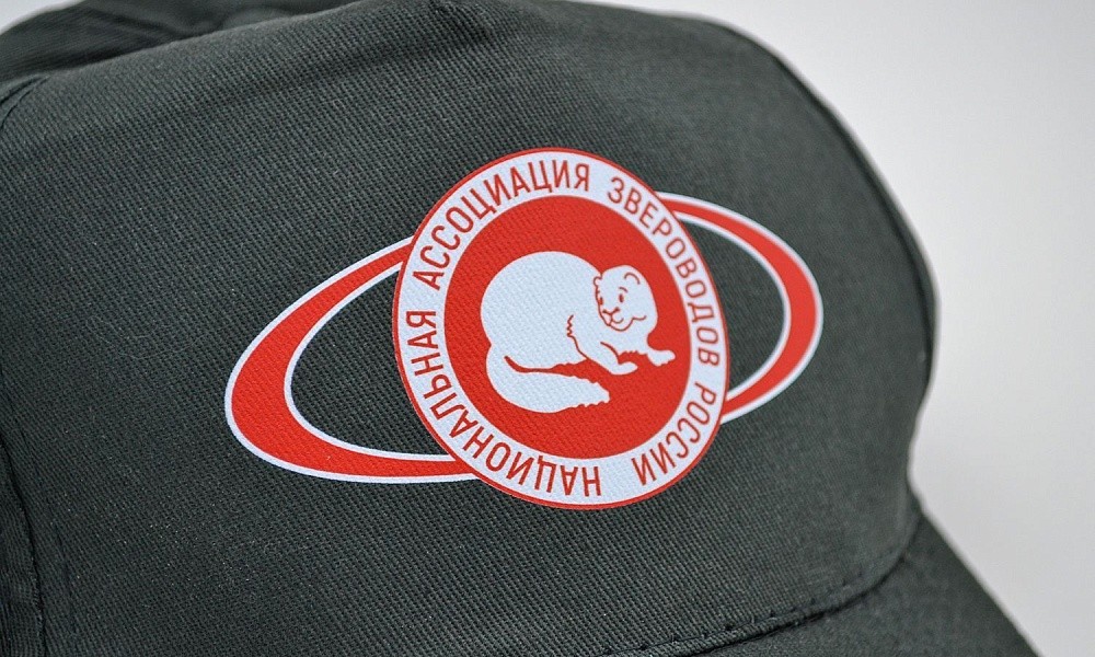 Кепки с логотипом