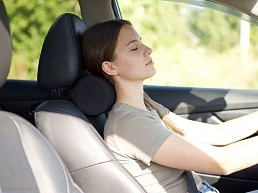 Подушка автомобильная на подголовник Roadie