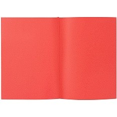 Ежедневник Flat, недатированный