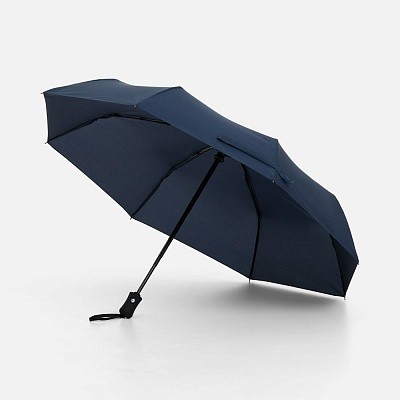 Зонт складной Monsoon