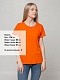 Футболка женская T-bolka Lady