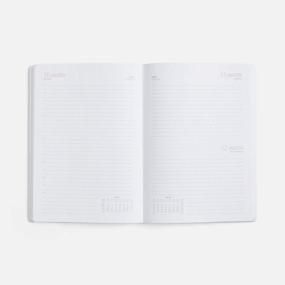 Ежедневник Basis, датированный