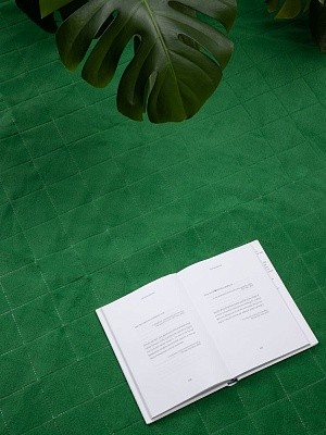 Плед для пикника Soft & Dry 2