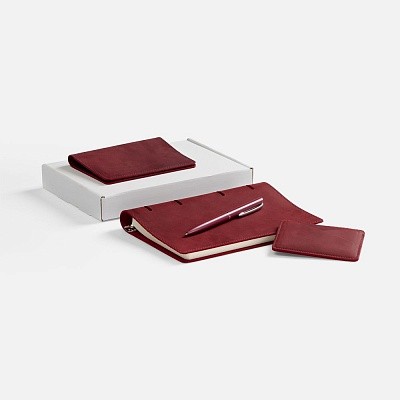 Набор inStream Maxi