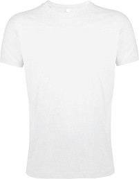 Футболка мужская Regent Fit 150
