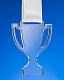 Медаль Cup