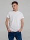 Футболка мужская Regent Fit 150