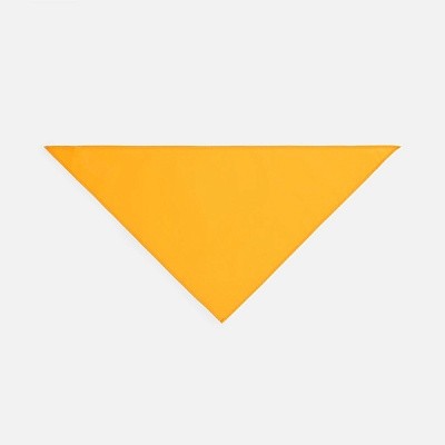 Шейный платок Bandana